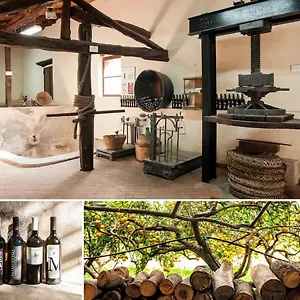  Alloggio per agriturismo Vasari Italia